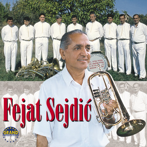 Fejat Sejdić