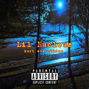hurt everything (Explicit)
