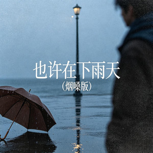 假装坚强的女人 (烟嗓版DJ)