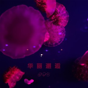 华丽邂逅封面