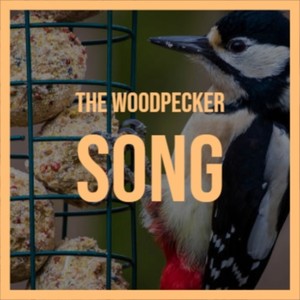 The Woodpecker Song