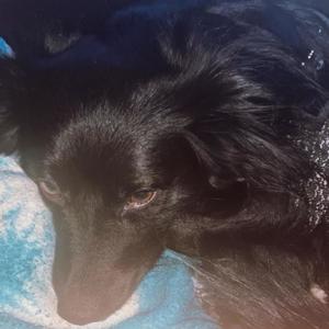 Run It Up (feat. Yums) (Explicit)