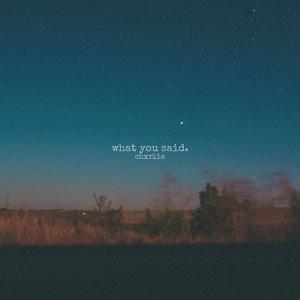 What You Said