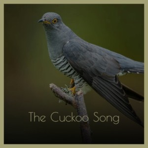 The Cuckoo Song