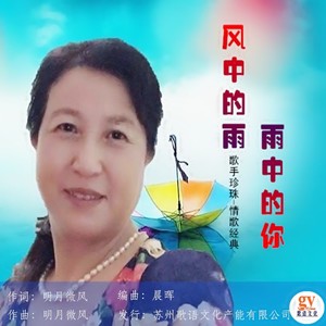 风中的雨雨中的你 (伴奏)