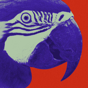 Balin Bali (Marvin & Guy remix)