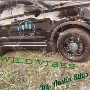 Wild Vibes (Explicit)