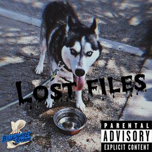 Lost Files (Explicit)