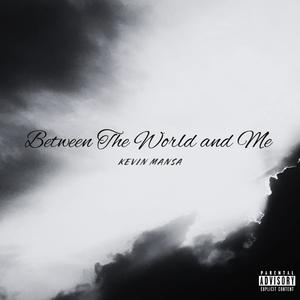 BETWEEN THE WORLD AND ME (Explicit)