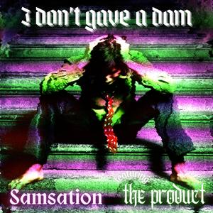 I don't give a dam (Inst.)