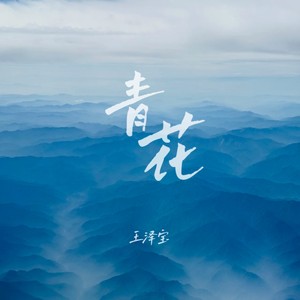 青花 (DJ版)
