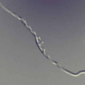 Real No Ficcíon - Cold Pools (Explicit)