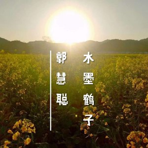 梦忆·水墨鹤子