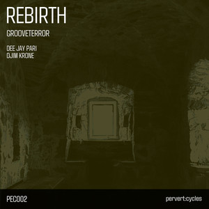Rebirth (Dee Jay Pari Remix)