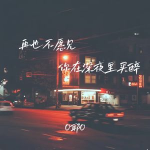 我再也不愿见你在深夜里买醉