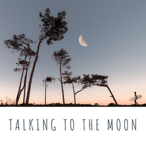 Talking To The Moon