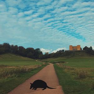 ארמדילו (Explicit)