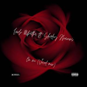 On Me (feat. Shirley Heavens) (Vocal Mix)