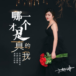 哪一个才是真的我