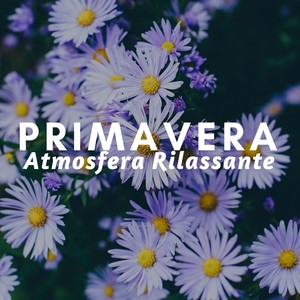 Primavera - Atmosfera Rilassante con Suoni della Natura, Pioggia, Acqua del Mare, Rumore Bianco