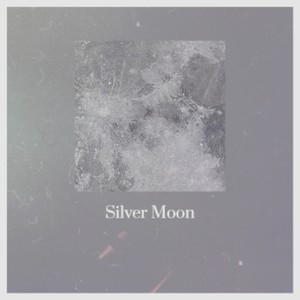 Silver Moon