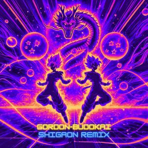 Budokai (SHIGAON Remix)