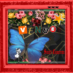 Disco Dogs (Falling in Love)