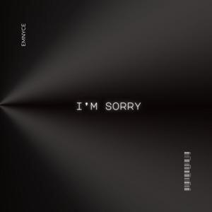 I'm Sorry (Explicit)