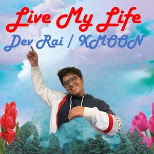 Live My Life (Live)