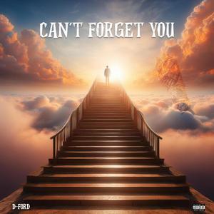 Can't Forget You (feat. $heen) [Explicit]