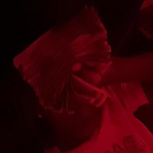 open wide (Explicit)