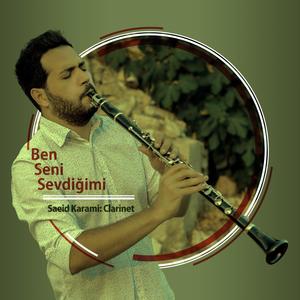 Ben Seni Sevdiğimi (feat. Ali Yılmaz)