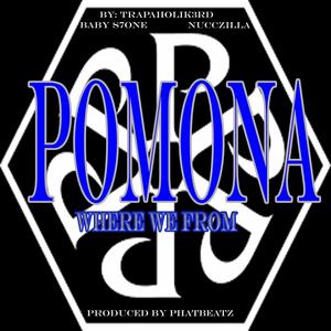 Pomona (feat. Nucczilla & Baby S7one) [Explicit]