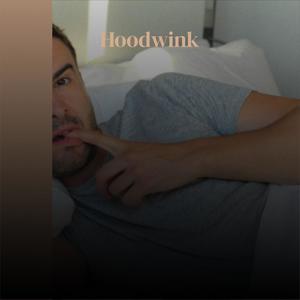 Hoodwink