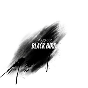 BLACK BIRD (Slowed Down)