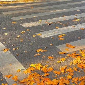 刘大拿-骂醒我 (0.85×)-勿追恋