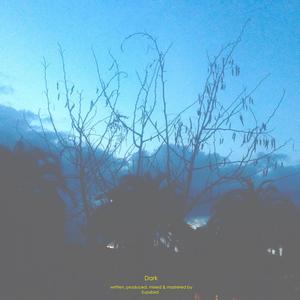 Dark