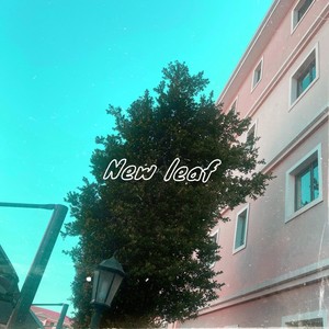 New leaf (Explicit)