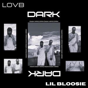 DARK (feat. Lil Bloosie) (Explicit)