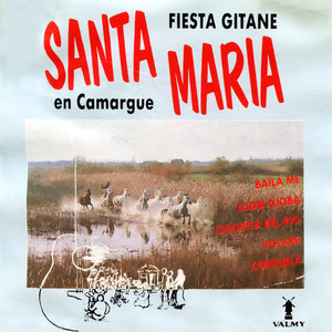 Fiesta gitane en Camargue