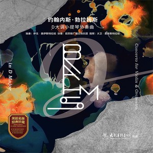 D大调小提琴协奏曲 - 不过分的快板 (不过分的快板)