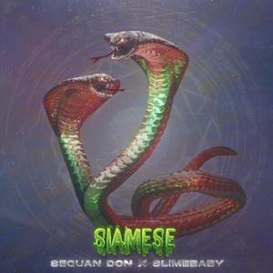 Siamese (feat. Slimebaby) [Explicit]