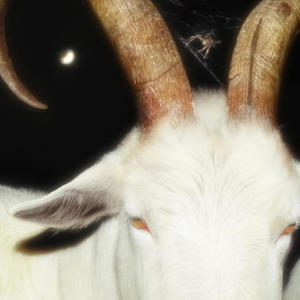 Flew Back (Not A Perfect Person) (Explicit)