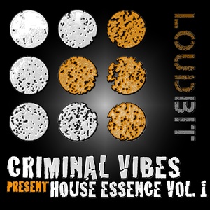 Criminal Vibes present House Essence, Vol. 1