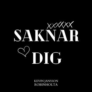 Saknar Dig (feat. Robinholta)