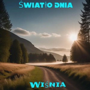 Światło Dnia