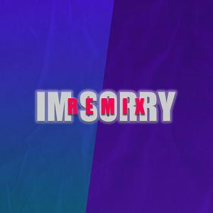 Im Sorry (feat. Asmo Kid, Sebita nigga, Ayrton Tuzain & Hazze) [Remix] [Explicit]