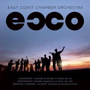 Chamber Symphony in C minor, Op. 110a I. Largo