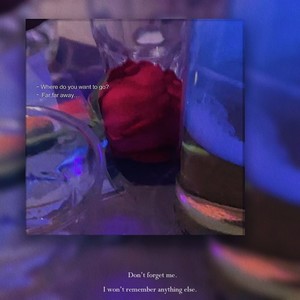 浪漫冻结在时间