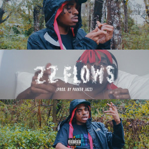 22 Flows